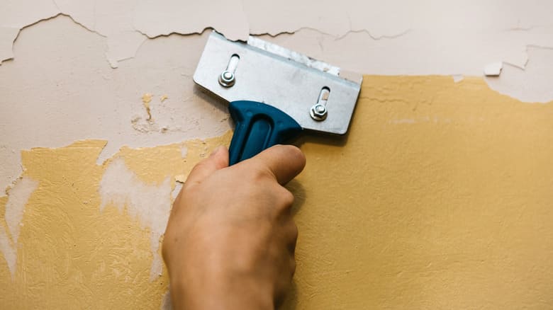 Guide to Choosing the Best Paint Remover