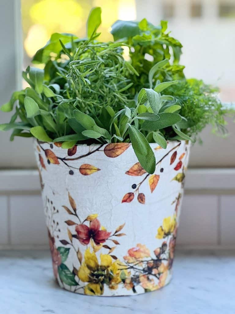 A flower painted pot with herb plants overloading out of it