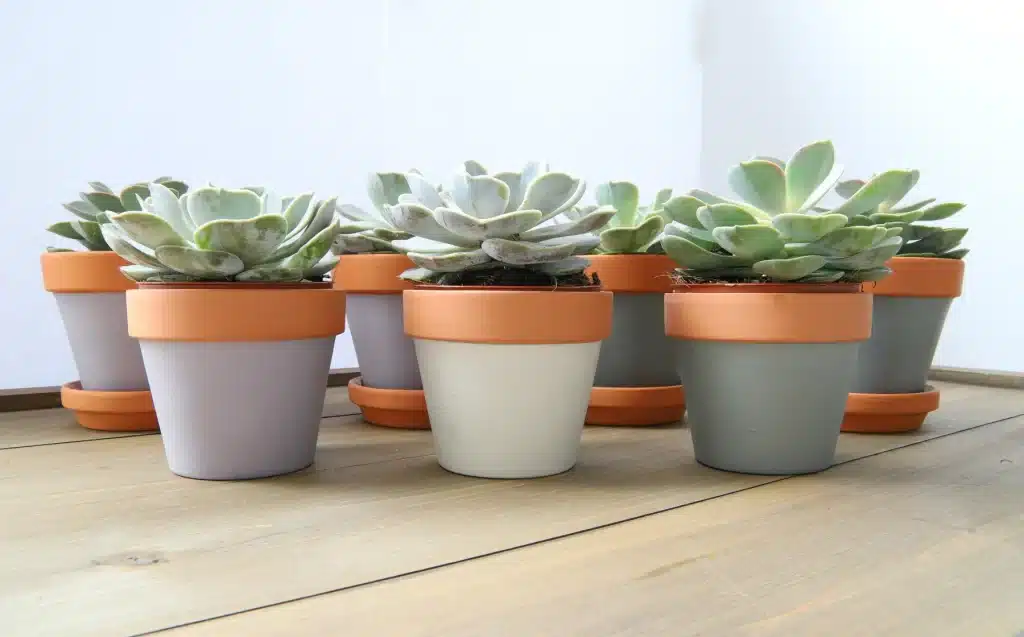 A front view of painted terracotta pot with succulent plants