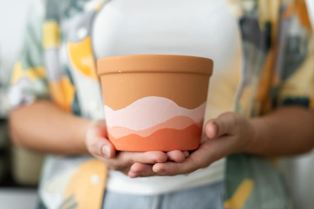 A view of a person holding a terracotta pot