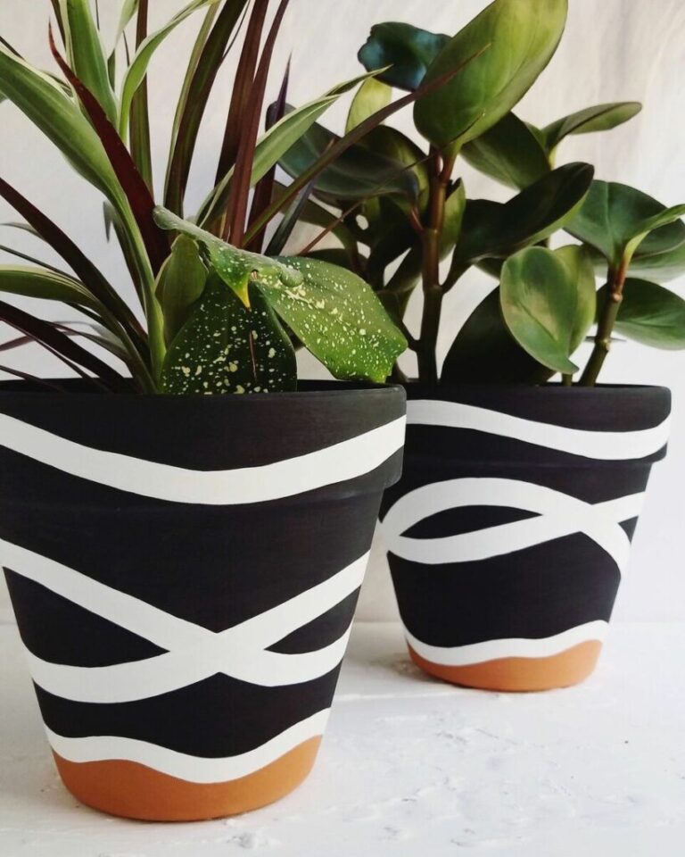 A view of two black and white plant pots painted