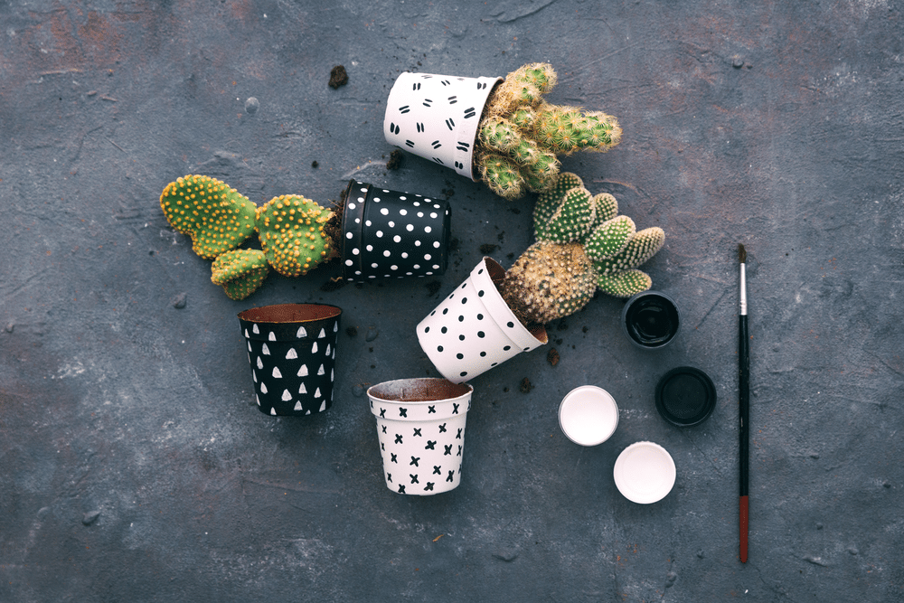 An over head view of terracotta painted pots