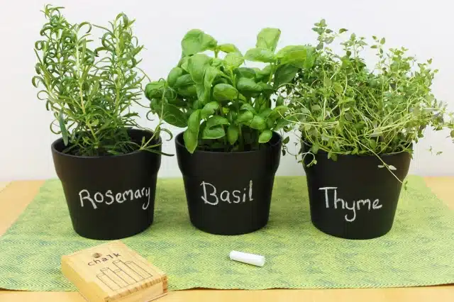 Three chalkboard painted plant pots in a garden