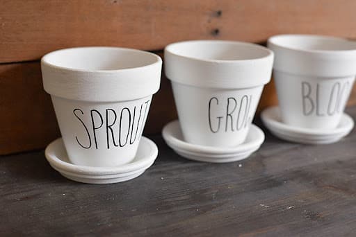 Three white pots placed in line with Rae Dunn writing