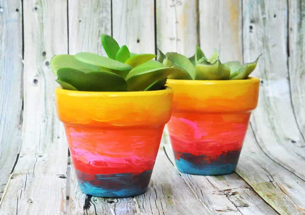 Two colorful plants painted sitting on a wooden bench