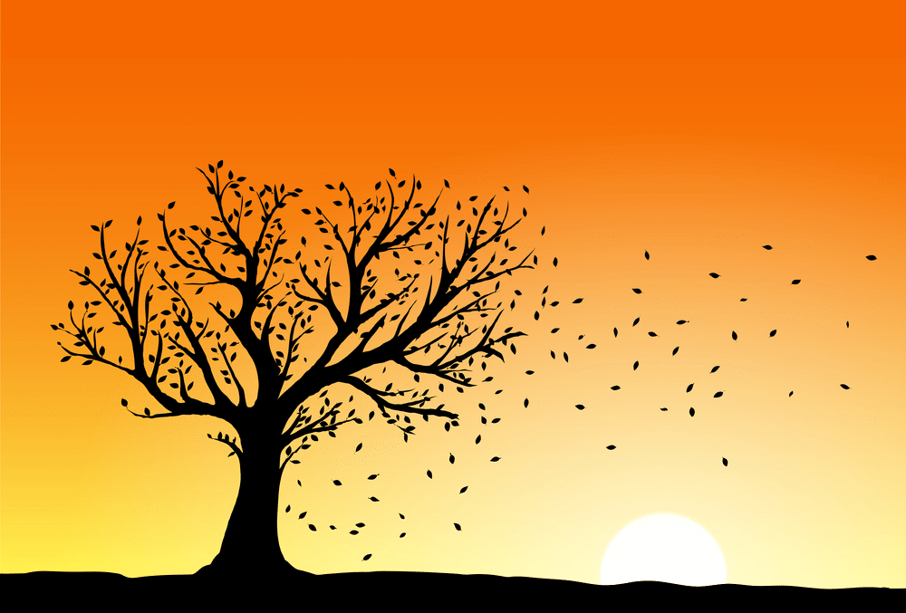 Autumn tree silhouette in sunset wind blowing away the falling leaves