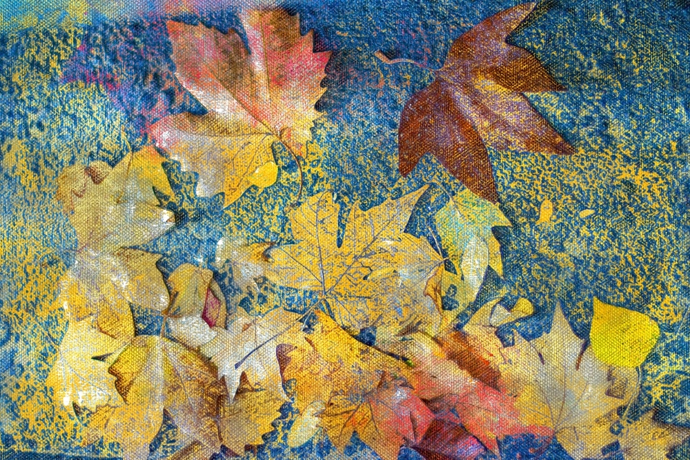 Colorful Fallen Leaves On The Sidewalk painting