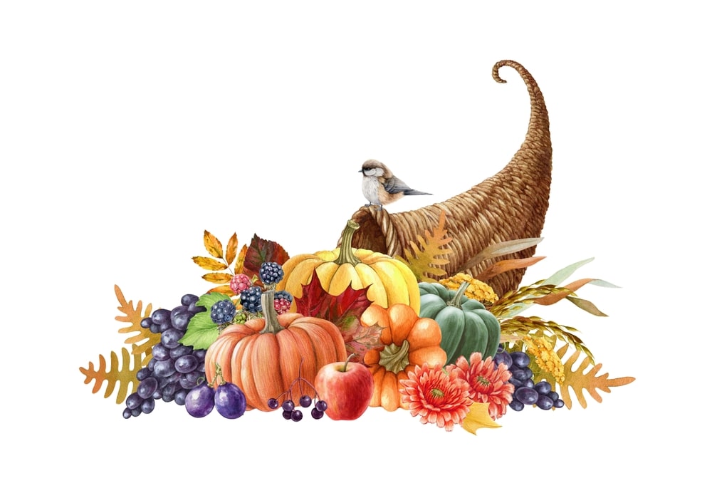 Harvest Cornucopia Watercolor Illustration 