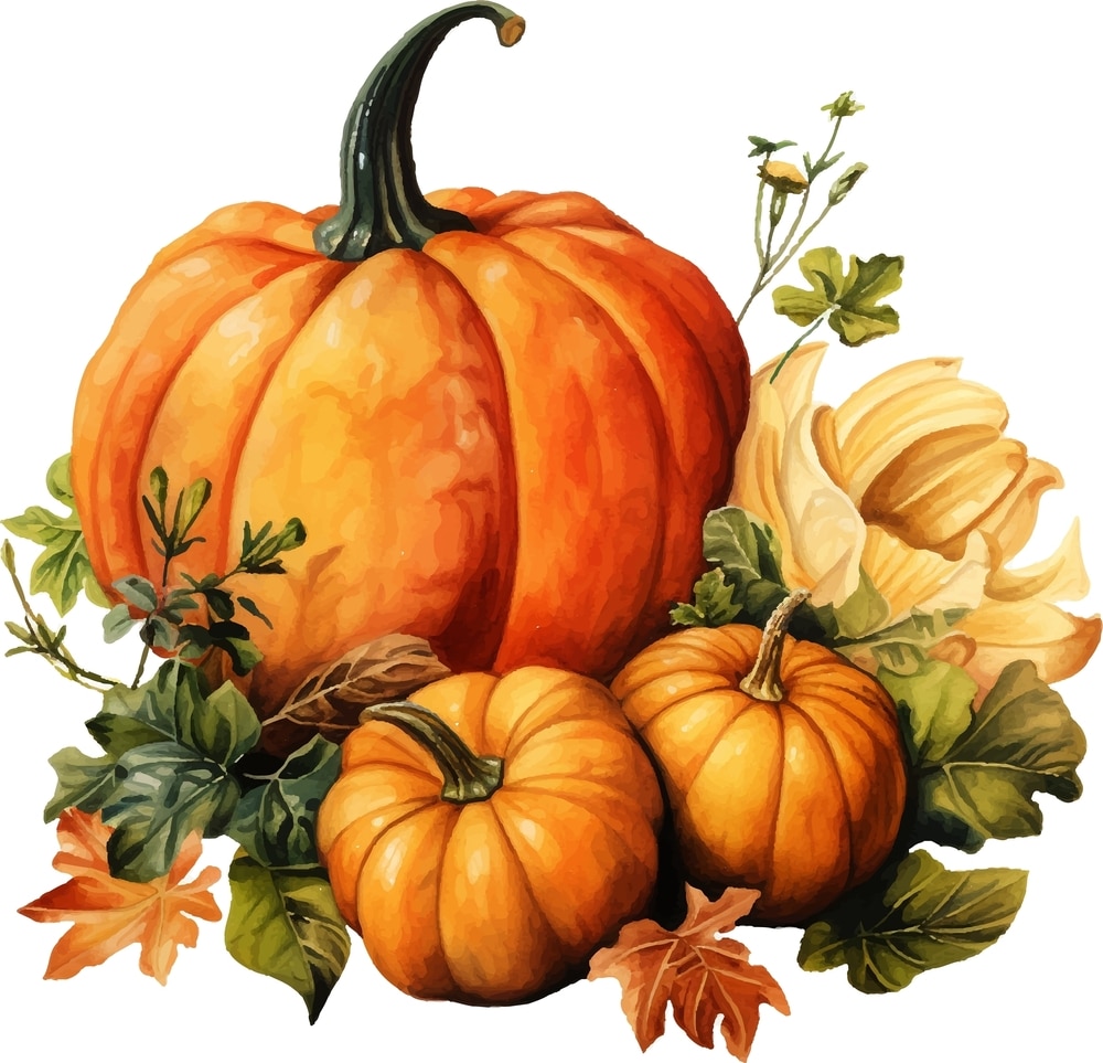 Watercolor Painting Autumn Pumpkin Still Life 