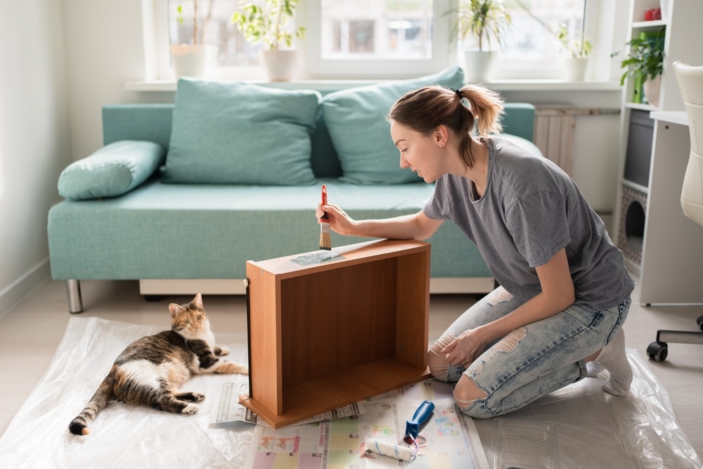 Young Woman Painting Drawer Cat Lying Nearby Furniture Repair Do