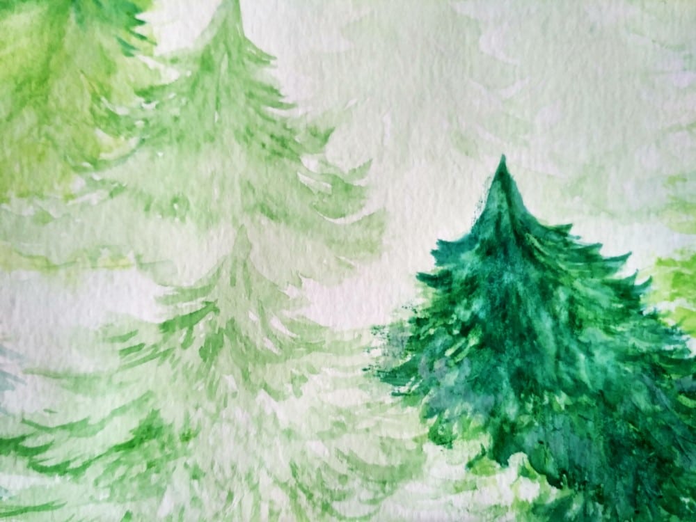 Abstract pine trees Image