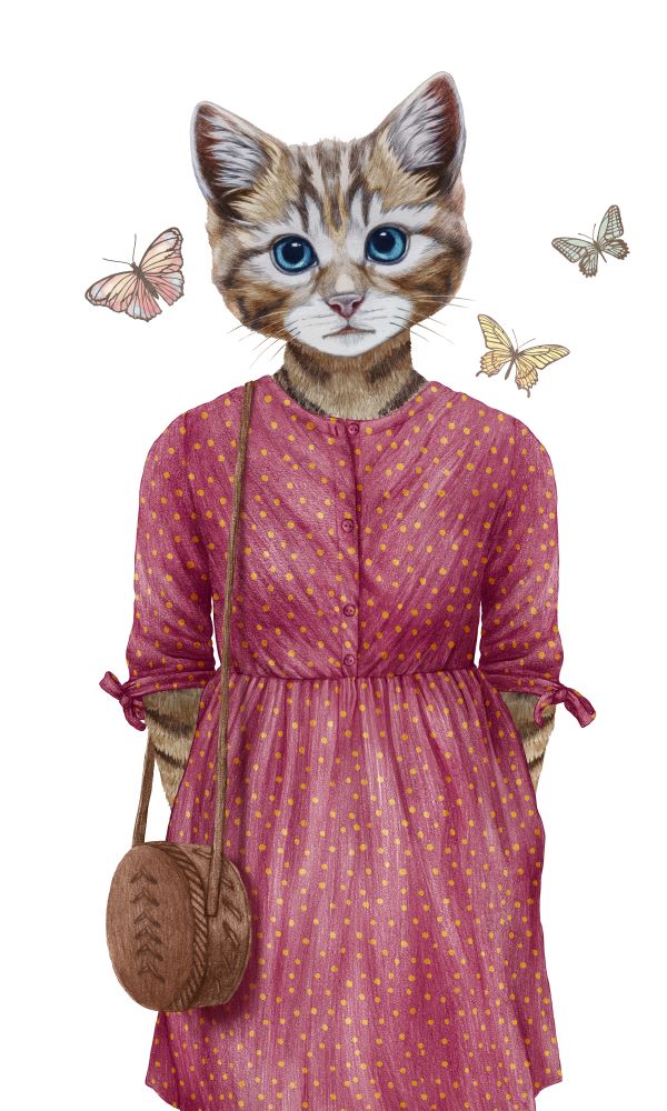 Animals dressed up in human clothing Portrait of a Cat Girl Hand drawn illustration digitally colored