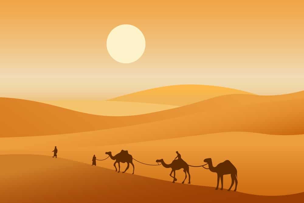 Camel Caravan Passing Through The Desert African Landscape You Can