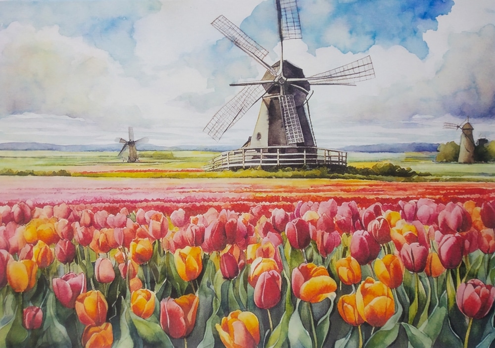 Hand Drawn Watercolor Pencil Painting Of Tulip Farm Landscape Painting