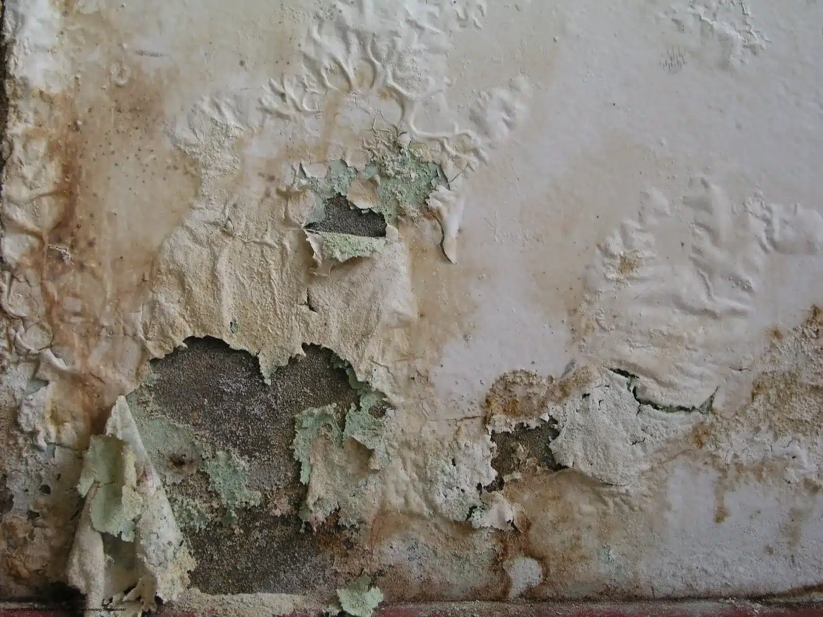 damaged wall due to peeling paint close up