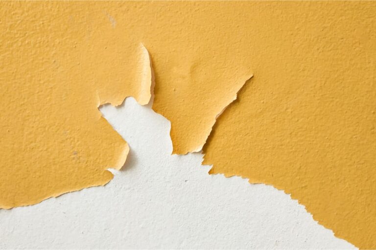 How to Fix Peeling Paint: Step-by-Step Repair Guide peeling paint on a wall