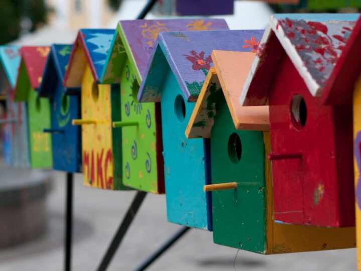 Colorful Bird Houses The Children Painted The Birdhouses With Different
