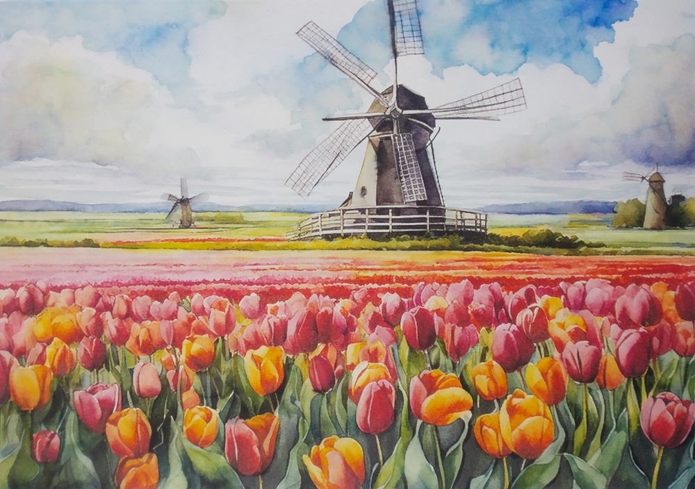 Hand Drawn Watercolor Pencil Painting Of Tulip Farm Landscape Painting Hand Drawn Watercolor Pencil Painting Of Tulip Farm Landscape Painting